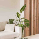 Sfeervol en karakteristiek